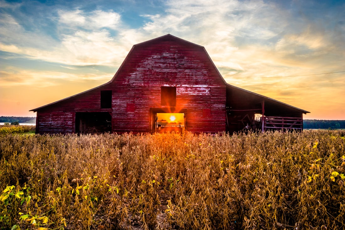 Rust large barn фото 12